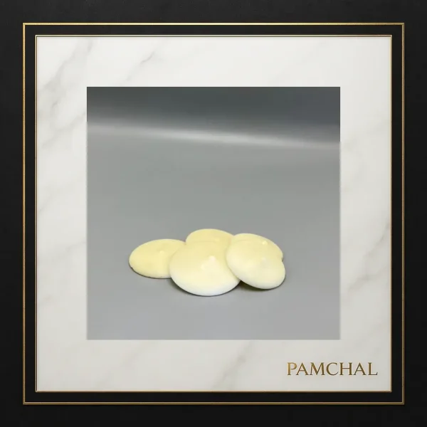 خرید شکلات سفید سکه‌ای سوربن از یک کیلو تا بسته ۳٫۵ کیلوگرم | مناسب تزیین و مغزی شیرینی | فروشگاه قنادی پامچال مشهد - Image 5